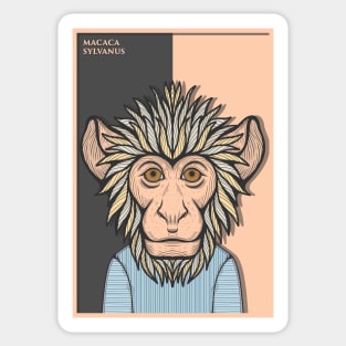 Barbary Macaque Monkey Sticker